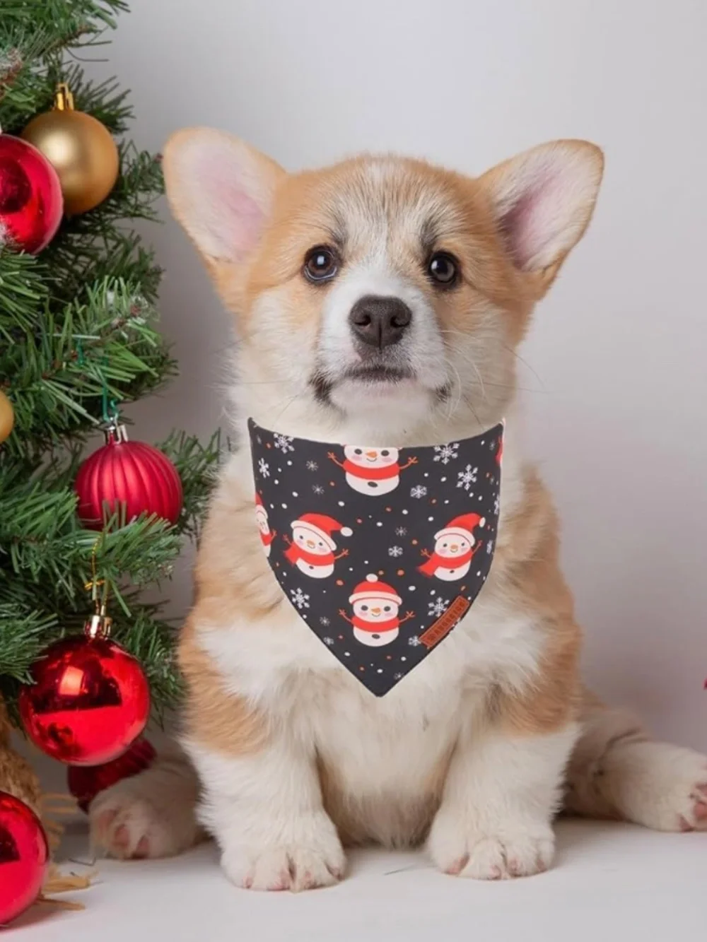 ADOGGYGO Christmas Dog Bandanas 2 Pack Large NWOT Santa Snowman